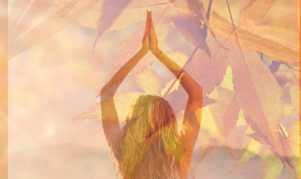 Autumn Warmth and Wellness Yoga Day Retreat